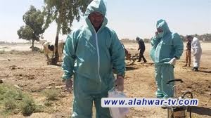 اجراءات احترازية للسيطرة على بؤرة "الحمى النزفية"  شمال الناصرية